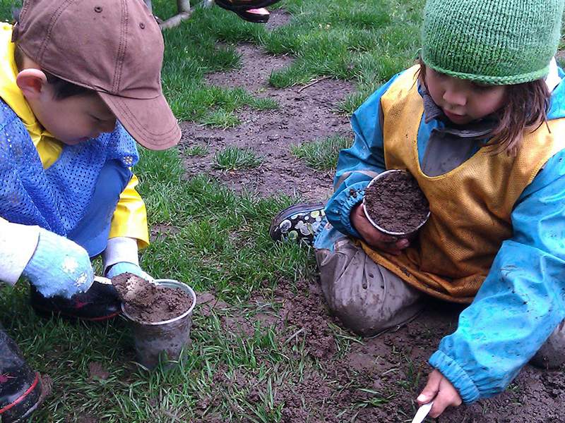 Environment Activity